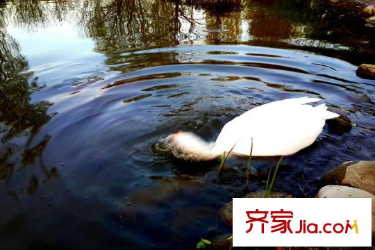 易郡周边配套-公园