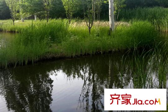 易郡周边配套-公园