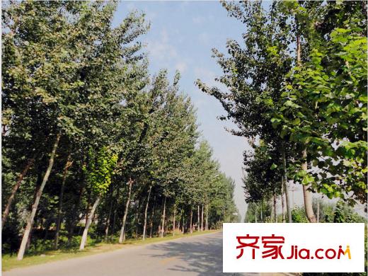 首旅紫峰九院城周边配套-道路