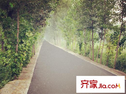 首旅紫峰九院城周边配套-道路