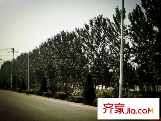 首旅紫峰九院城周边配套-道路