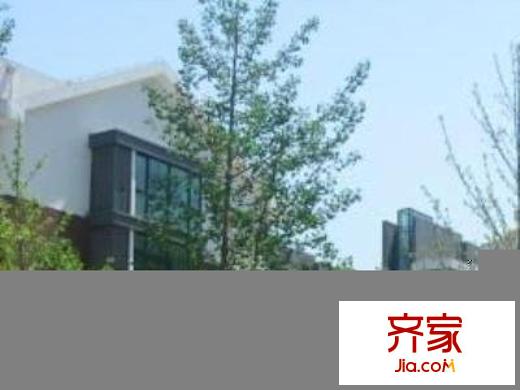 麦子店居住区外景图绿化