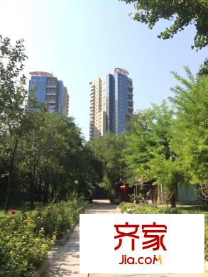 丽都十号楼座2014.9