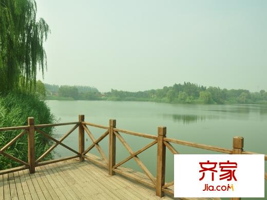 金湖溫泉別墅園林2014-8
