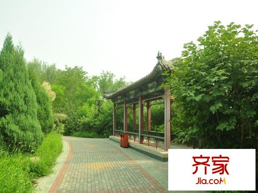 金湖溫泉別墅園林2014-8