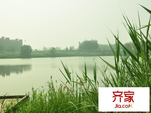 金湖溫泉別墅園林2014-8