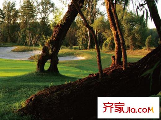 夏威夷蓝湾周边配套-高尔夫球场