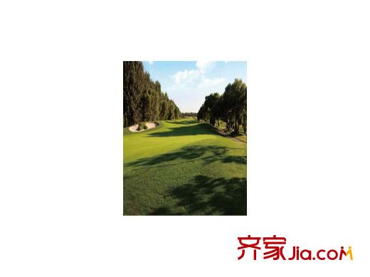 夏威夷蓝湾周边配套-高尔夫球场