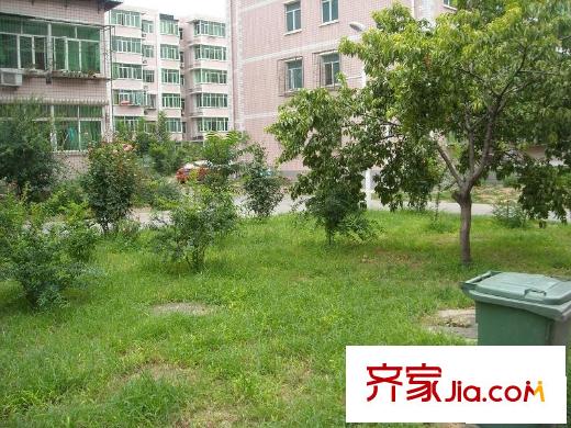 中泽家园配套图绿化