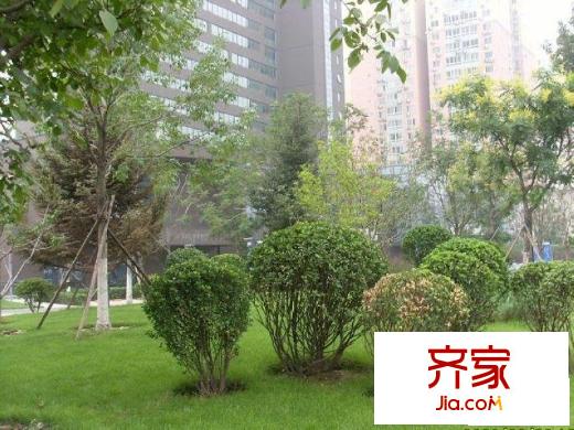 万科金阳国际公寓外景图花园