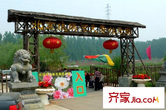 燕都新天地周边配套:琉璃河天香牡丹园2015.10.24