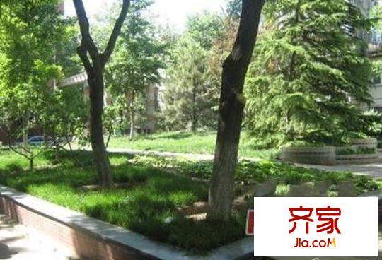 和平街西苑外景图
