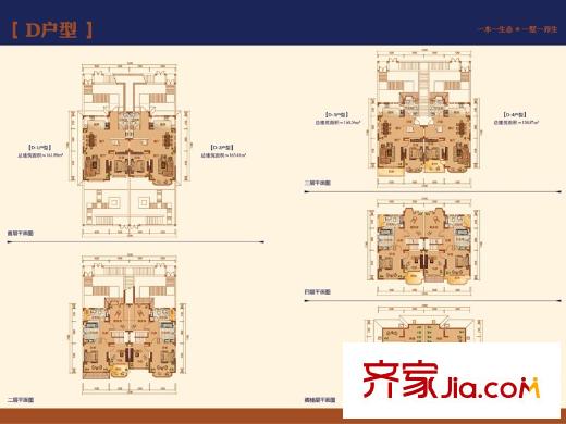 一渡龙湾D户型户型图 4室2厅3卫1厨