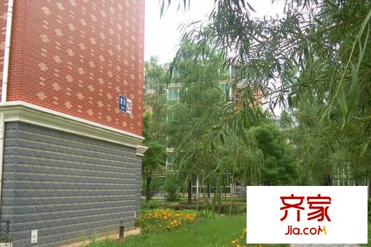 韩建雅苑园林201406