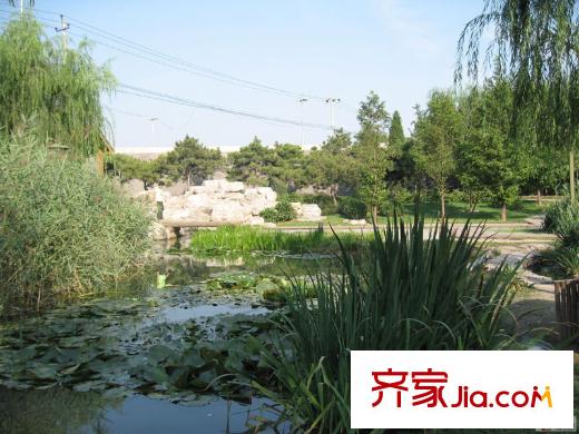 胜古誉园周边配套-元大都遗址公园