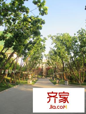 珠江四季悦城销售中心-园林2013.6