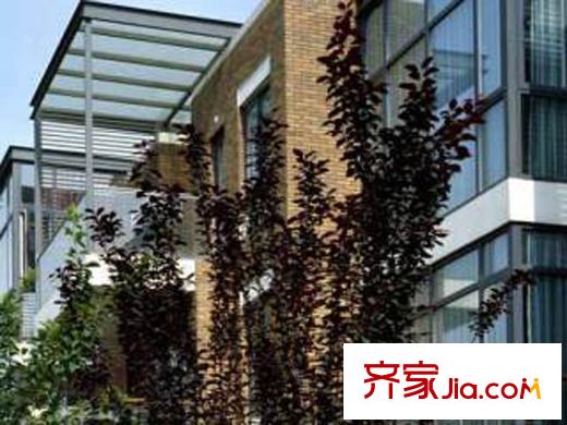 中奥广场・首站周边配套-园林