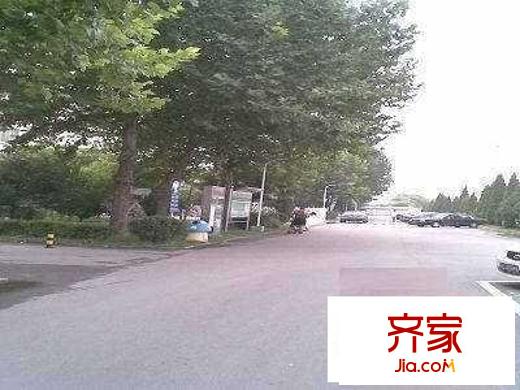 龍回苑外景圖