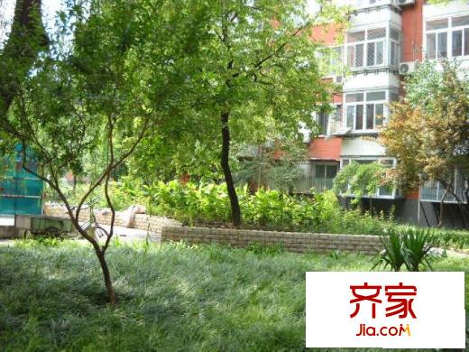 新源里小区外景图绿化图