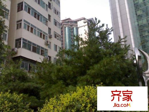 柳芳北街9号院外景图楼下绿树
