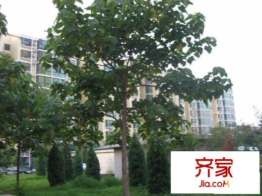 新华街三里外景图
