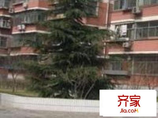 和义西里小区泰和园外景图绿化
