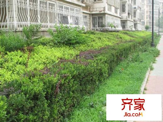 幸福艺居外景图实景图