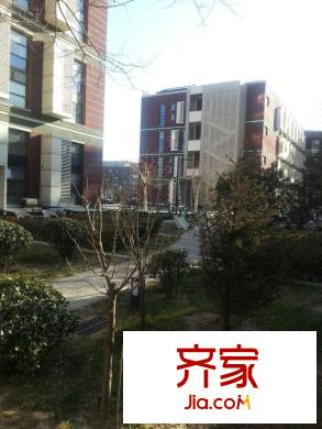 乐栋300外景图