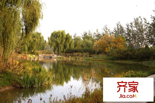 亚运新新家园湖水20111019