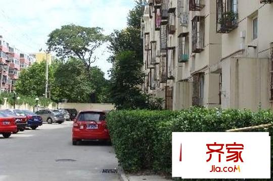 南太平庄北巷外景图绿化