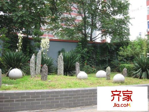 双井北里外景图花园