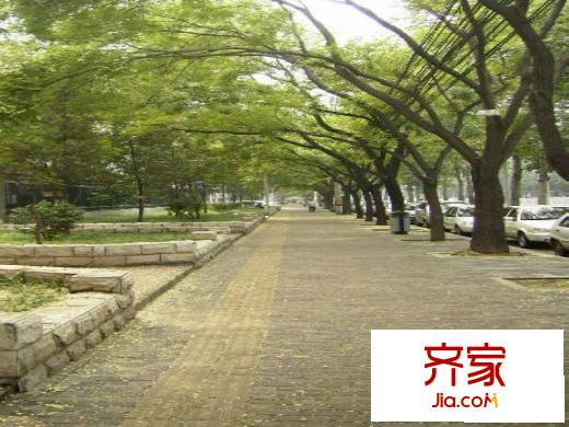 学院南路32号院外景图小区林荫道