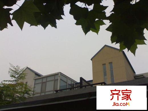 理想的拿铁镇外景图楼座图