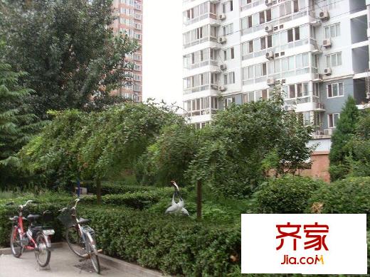 方华苑外景图绿化