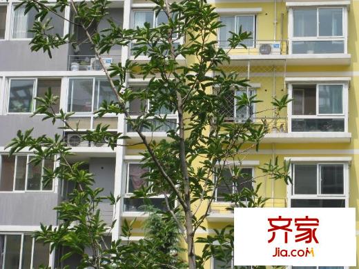 十里堡东里外景图