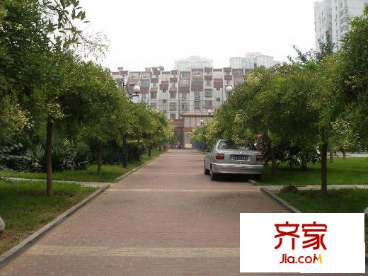 阳光四季外景图绿化图