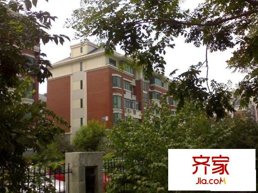 莱茵河畔外景图楼座图