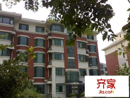 莱茵河畔外景图楼座图
