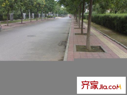 莱茵河畔配套图周边交通