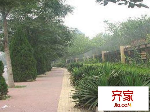 雪梨澳乡外景图