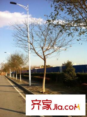 东亚首航国际周边-道路