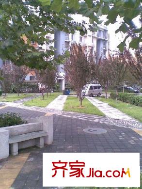 龙博苑一区配套图花园