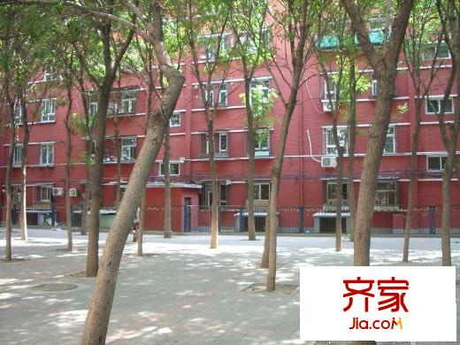 洋桥西里外景图花园