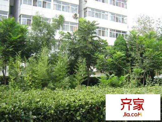 育芳园外景图