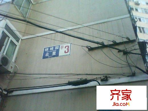 核桃园北里外景图楼牌名