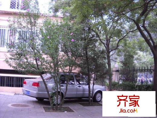 复兴路36号院外景图绿化图