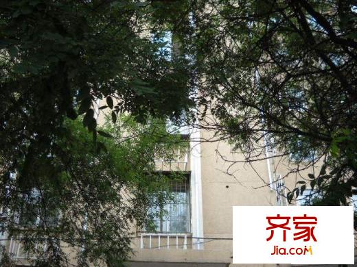 复兴路36号院外景图绿化图