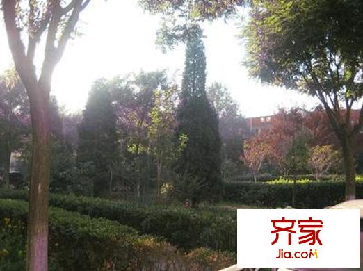 世纪村外景图