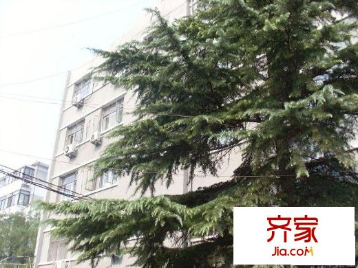 望花路东里外景图楼座图