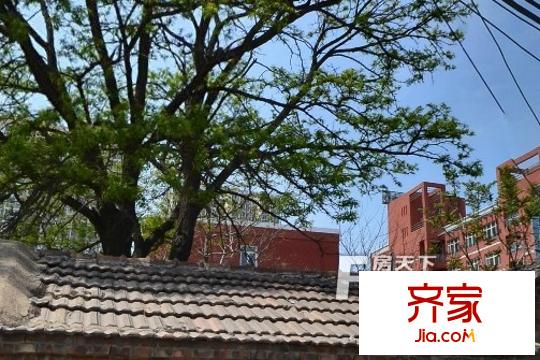 东铁营横一条外景图4